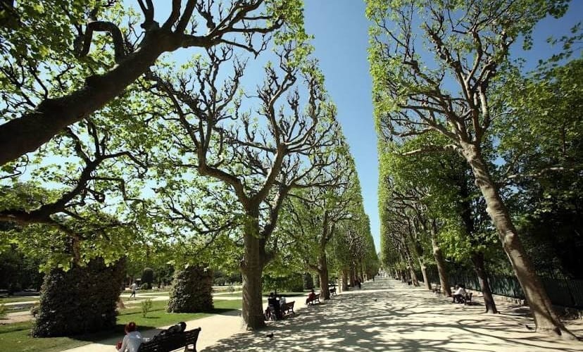 Jardin des Plantes - Que faire à Paris.jpg
